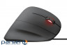 Миша TRUST Gaming GXT 144 Rexx (22991)