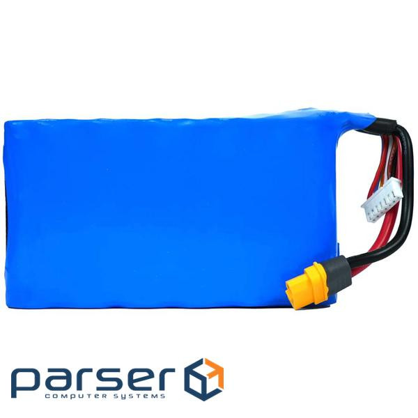 Аккумуляторная литиевая батарея VIA Energy P42A 6S3P