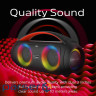 Акустична система 1.0 Energizer 20Вт Bluetooth 5.3 TF/USB/AUX/FM/TWS/MIC, Dual 3” Drivers ч (BTS258)