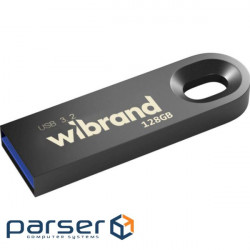Флешка WIBRAND Eagle 128GB USB3.2 Gray (WI3.2/EA128U10G)