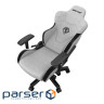 Ігрове крісло Anda Seat T-Pro 2 Size XL Grey/Black (AD12XLLA-01-GB-F)
