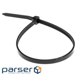 Cable tie Ritar 250mm/4.0mm, black, 100 pcs (CTR-B4250)