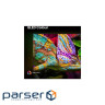 Телевізор HISENSE 43E7Q PRO (43E7QPRO)