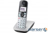 Радіотелефон DECT Panasonic Silver (KX-TGE510RUS)