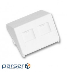 Пластина на 2 модуля LANScape, похила, зі шторками, 50x50, біла RAL9010, (CAXCSE-V0201-C001)