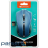 Миша Canyon CNE-CMSW05BL Blue USB