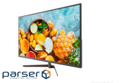 Монітор Led 22" Hikvision DS-D5022QE-B