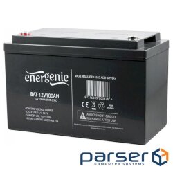 Accumulator battery ENERGENIE BAT-12V100AH (12В, 100Ач)