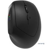 CANYON mouse MW-25 Ergonomic LED AA Dual mode Wireless Black (CNS-CMSW25)