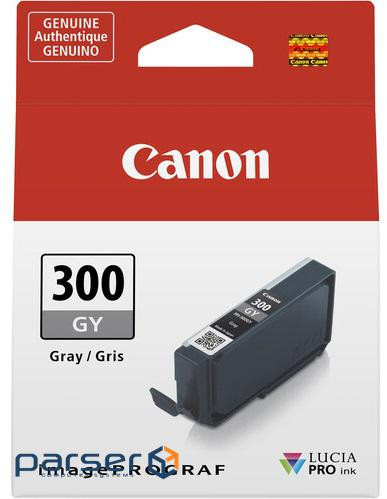 Картридж Canon PFI-300 Grey (4200C001)