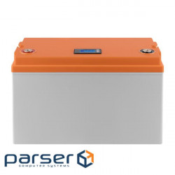 Battery case LP12-100 with LCD display (19972)