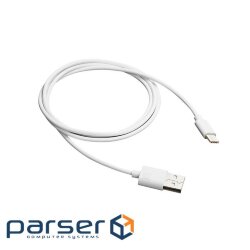 Date cable USB 2.0 AM to Type-C 1.0m white Canyon (CNE-USBC1W)