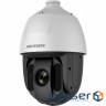 IP-камера DarkFighter HIKVISION DS-2DE5432IW-AE(E) (DS-2DE5432IW-AE (E))