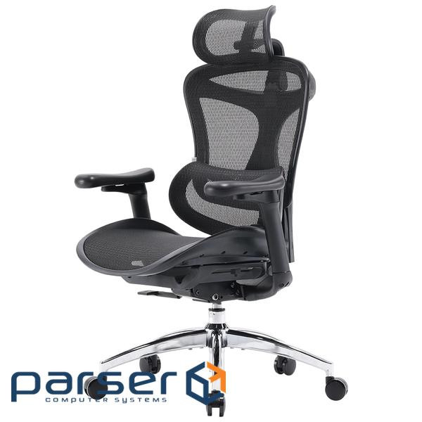 Офісне крісло Sihoo DORO C300L Mesh Black (DORO-C300L-A3-101)