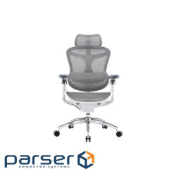 Офісне крісло Sihoo DORO C300 Pro Mesh White (DORO-C300-PRO-M102)