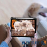 Чохол до планшета BeCover Soft Edge TPU Apple iPad Air 11" M4 2026 Gray (715258)