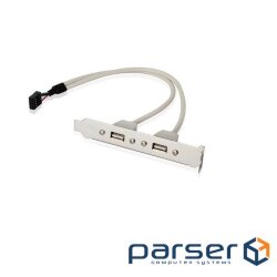USB2.0 case bracket Ax2-PinHeader (bar ),0.20m Slot Bracket (62.09.8056-1)