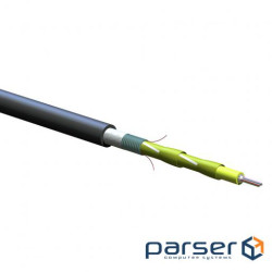 IN cable universal., U-DQ (ZN) (SR) H 12E9 SMF-28e +, corrugation. armor, parts. sent. elem ., (012EEY-13122H2G)