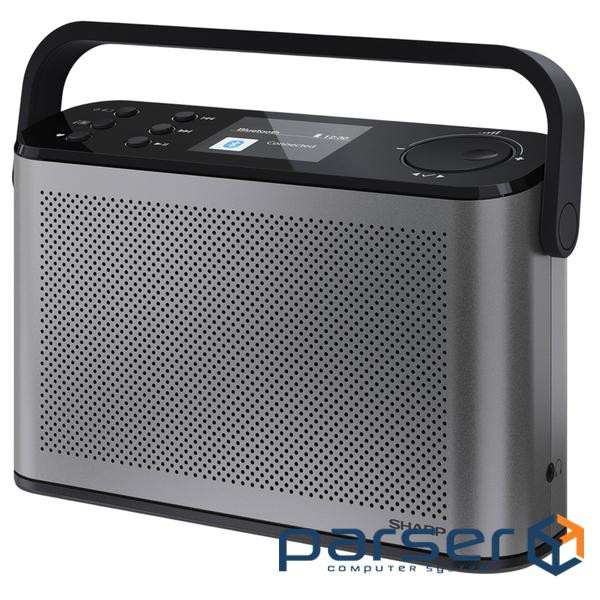 Радиоприемники DR-P540 Grey (DR-P540(GY))