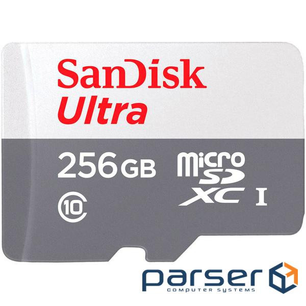 SanDisk Ultra microSDXC 256GB 100MB/s Class 10 UHS-I, EAN:619659196516 (SDSQUNR-256G-GN3MN)
