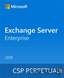 ПЗ для сервера Microsoft Exchange Server Enterprise 2019 Commercial, Perpetual (DG7GMGF0F4MF_0003)