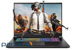 Ноутбук Dream Machines RX5080-18 (RX5080-18UA29)