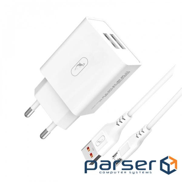 Charger SkyDolphin SC30V (2USB, 2.1A) White (MZP-000114) + cable Type-C