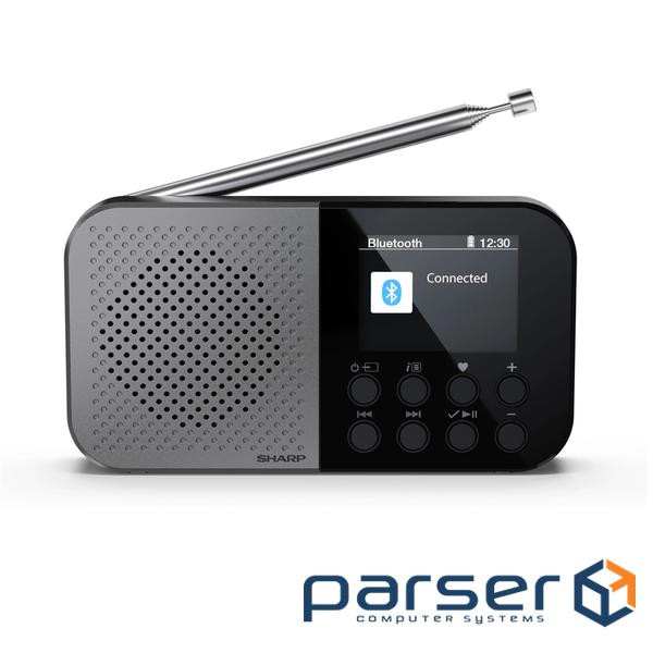 Акустика портативная DR-P520 Storm grey (DR-P520(GY))