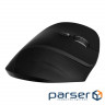 Mouse CANYON CNS-CMSW16 Black (CNS-CMSW16B)