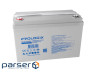 Акумуляторна батарея Prologix 12V 100AH (PL12-100GEL) GEL