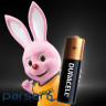 Батарейка Duracell AA лужні 10 шт. в упаковці (5002508/5006461) (5002508/5006461)