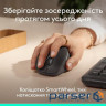 LOGITECH M850 L for Business - GRAPHITE - 2.4GHZ/BT -EMEA28i-935 (910-007704)