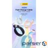 Дата кабель USB 2.0 AM to USB-C 1.0m 100W black Essager (EXC7A-WL01-P)
