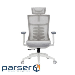 Офісне крісло OfficePro Balance OC620-W-LG-LG