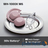 Навушники Sony WH-1000XM6 Sand Pink (WH1000XM6P.E)