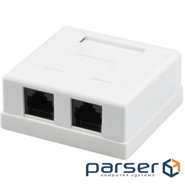 Computer outlet RJ45x2 UTP cat.5e Kingda (KD-WP6035-C5e)