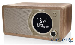 Акустика портативная DR-450 (DR-450(BR))