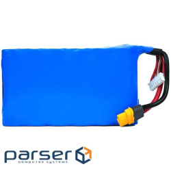 Акумуляторна літієва батарея VIA Energy P42A 6S2P