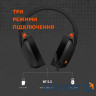 Навушники Canyon GH-13 Ego Wireless Gaming 7.1 Black (CND-SGHS13B)