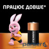 Батарейка DURACELL С / LR14/ MN1400 KPN 02*10 (81545437)