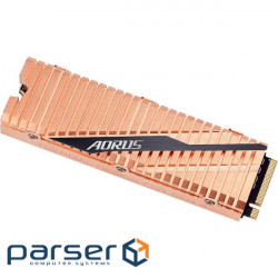 SSD AORUS Gen4 1TB M.2 NVMe (GP-ASM2NE6100TTTD)