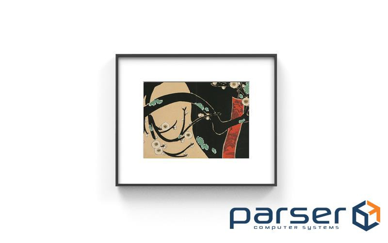 Цифровий постер InkPoster Affresco 13.3", Wifi/BT, чорний (PB1330P1-WW)