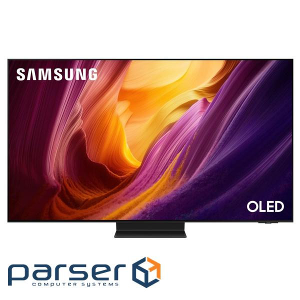 Телевізор SAMSUNG QE65S95HFUXUA