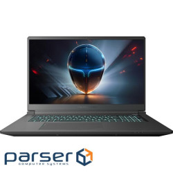 Ноутбук Thunderobot 911 X17 (911X17-i7136H56C1Q165MB)