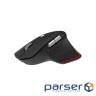 Mиша USB OPTICAL WRL EASY FIT BK HP.EXPBG.021 ACER