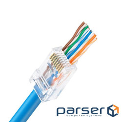 Connector RJ45 UTP cat. 5e with through holes , LW (LW-NP-002-C5E)