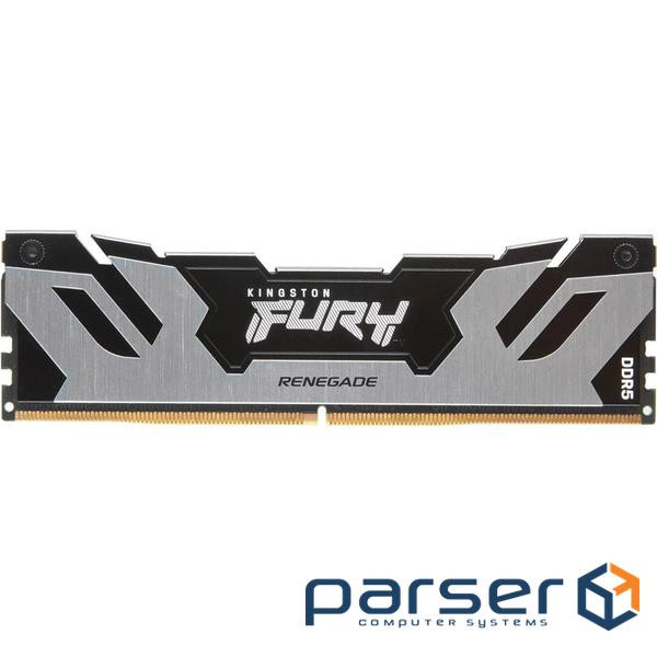 Модуль пам'яті KINGSTON FURY Renegade Black/Silver DDR5 6400MHz 32GB (KF564C32RS-32)