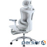 Крісло офісне з підставкою для ніг Sihoo DORO C300L Mesh White with footrest (DORO-C300L-A3-102-JT)
