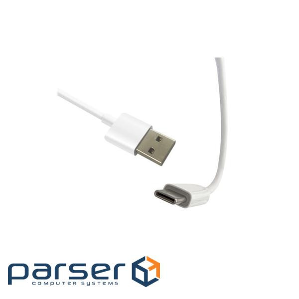 Аксесуар до екшн-камер AirOn зарядний пристрій USB-C (3 м) + USB-C сплітер для Proc (69477915500108)