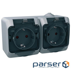 Розетка Schneider Electric CEDAR подвійна 2К+С із шторками та прозорою кришкою сіра IP44 (WDE000625